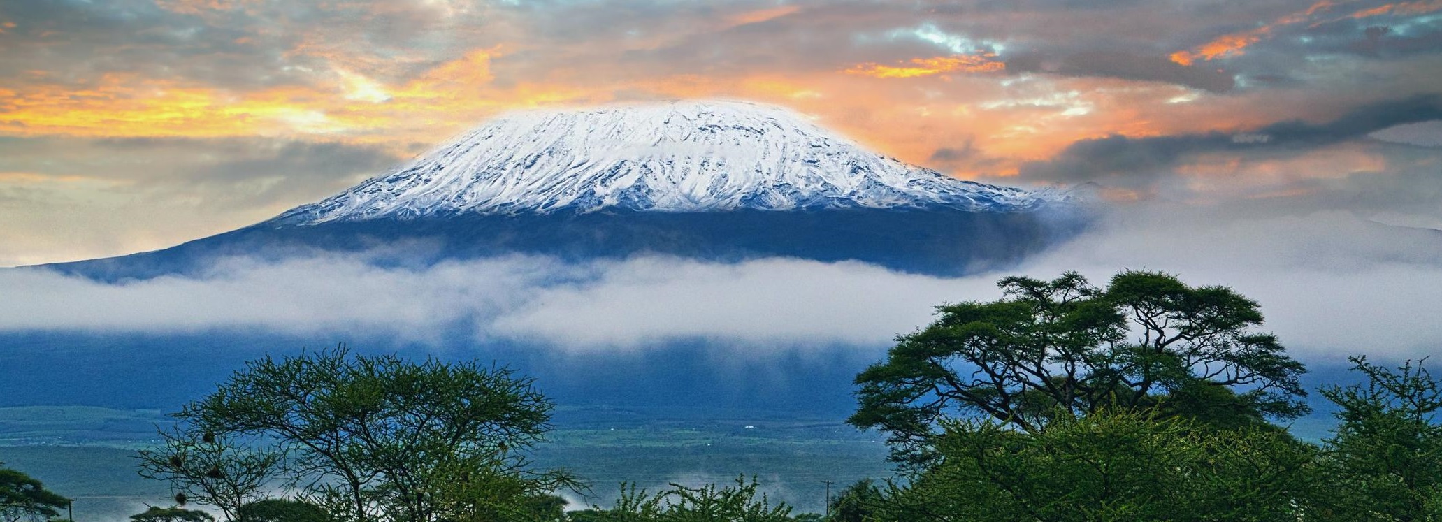 How to Get from Kilimanjaro Airport to Moshi or Arusha: Complete Transfer Guide